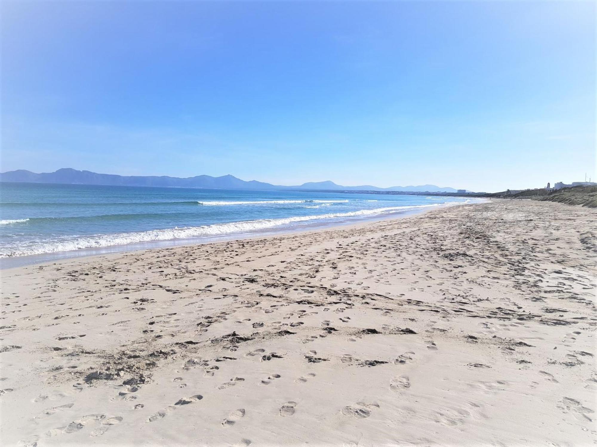 Ideal Property Mallorca - Villa Xisco Alcudia  Luaran gambar